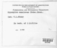 Image Associated With the Occurence